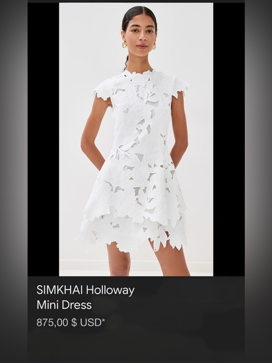 Simkhai Dresses & Skirts - Simkhai Holloway embroidered lace mini dress